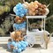 50 Pack Blue and Brown Balloons (12 Inch) – Premium Coffee & Dusty Blue Latex Balloons for Teddy Bear Baby Shower – Rustic Boho Decorations for Boy’s Birthday, Wedding & Backyard Gathering – Thickened Party Balloons Bulk